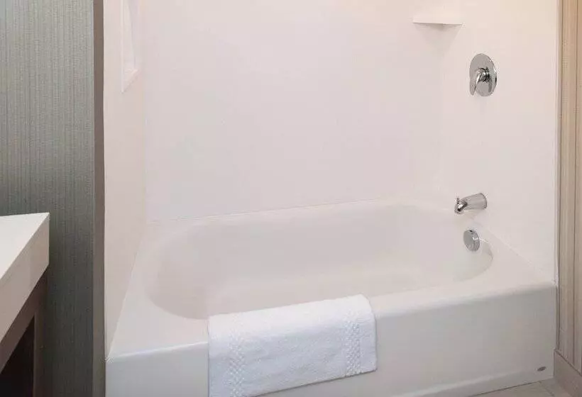 ホテル Courtyard By Marriott Detroit Farmington