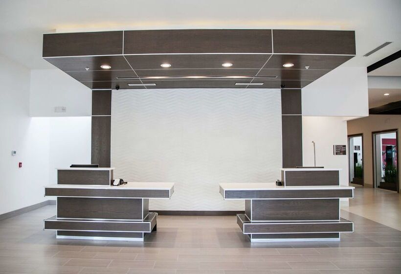 ホテル Hilton Garden Inn Tampa Suncoast Parkway