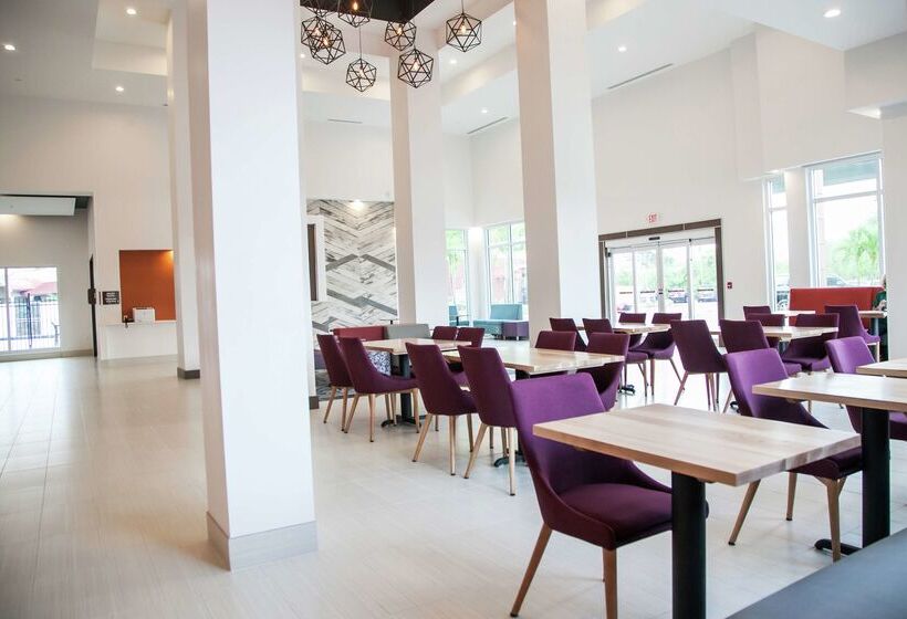 ホテル Hilton Garden Inn Tampa Suncoast Parkway