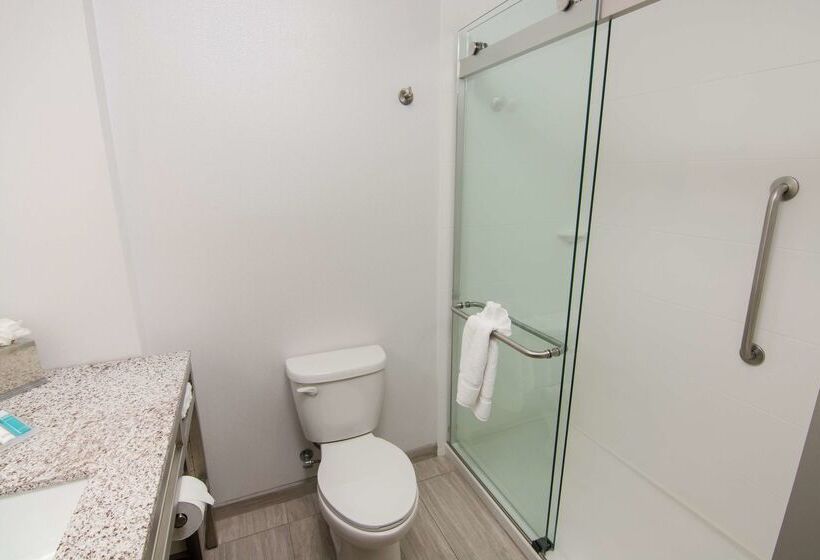 ホテル Hilton Garden Inn Tampa Suncoast Parkway