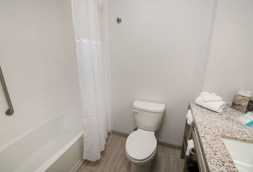 ホテル Hilton Garden Inn Tampa Suncoast Parkway