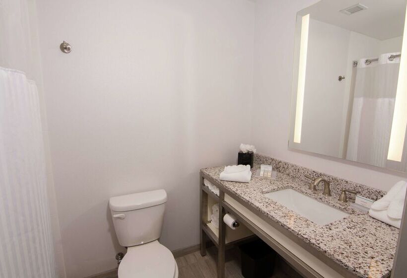 ホテル Hilton Garden Inn Tampa Suncoast Parkway