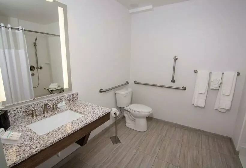 Hotelli Hilton Garden Inn Tampa Suncoast Parkway