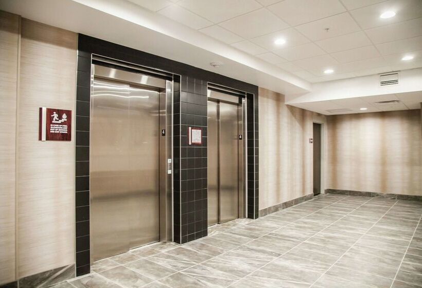 ホテル Hilton Garden Inn Tampa Suncoast Parkway