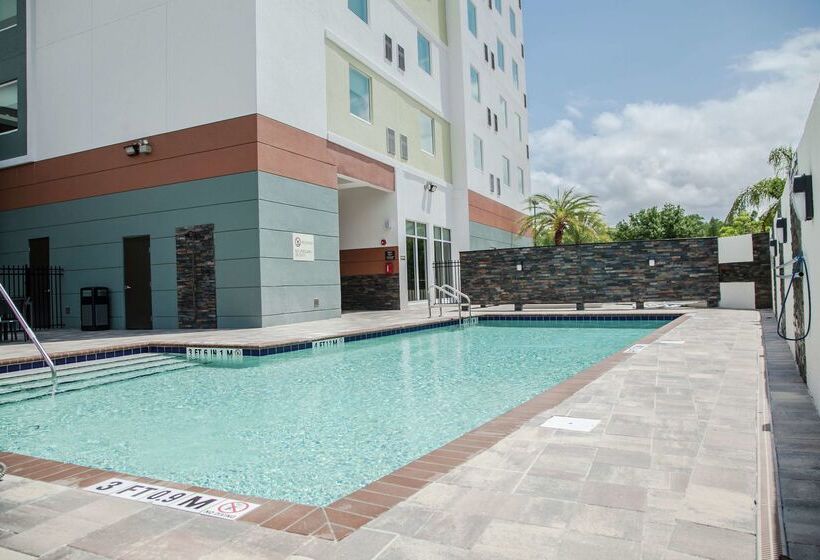 ホテル Hilton Garden Inn Tampa Suncoast Parkway