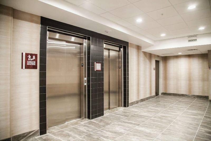 ホテル Hilton Garden Inn Tampa Suncoast Parkway