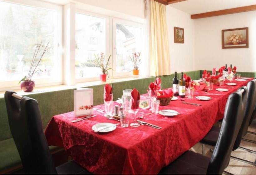 Отель Pension Helvetia