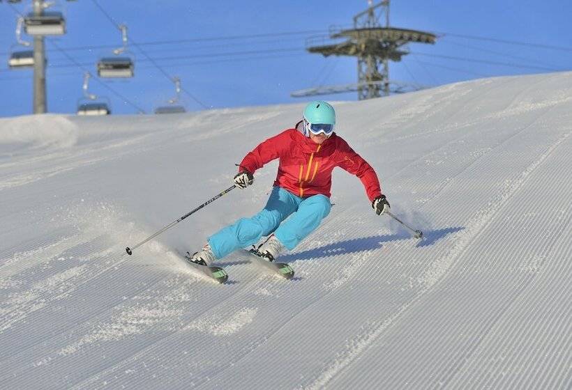 Отель Pension Helvetia