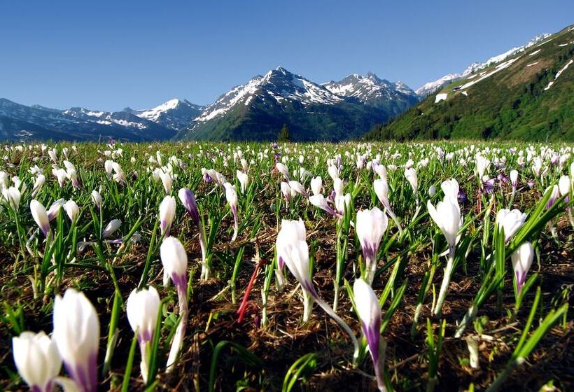 Отель Pension Helvetia