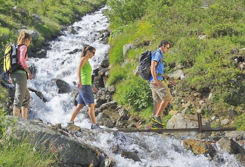 Отель Pension Helvetia