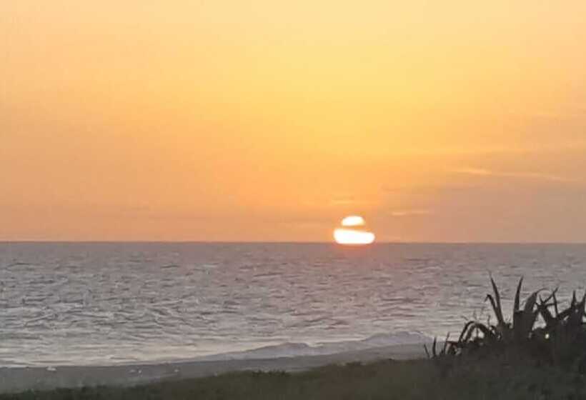 ホテル Pousada Viva Mar