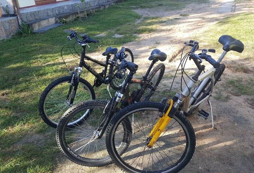 ホテル Pousada Viva Mar