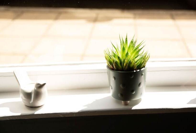 فندق Queens Head