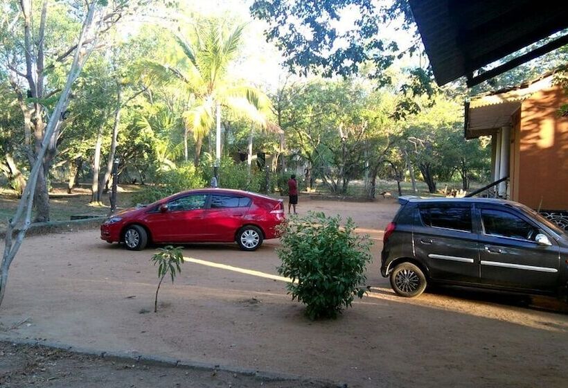 بنسيون Ancient Villa