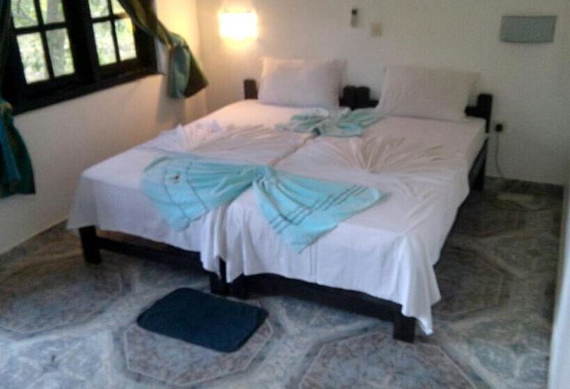 بنسيون Ancient Villa