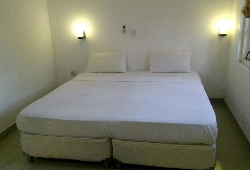 بنسيون Ancient Villa