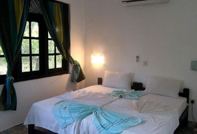 بنسيون Ancient Villa