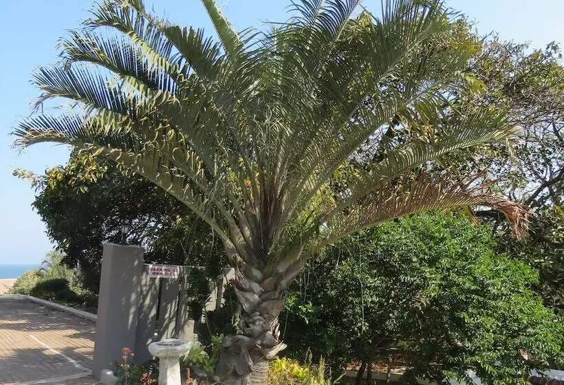 ベッドアンドブレックファースト Beachcomber Bay Guest House In South Africa