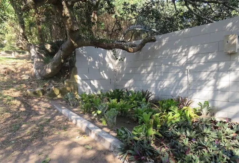ベッドアンドブレックファースト Beachcomber Bay Guest House In South Africa