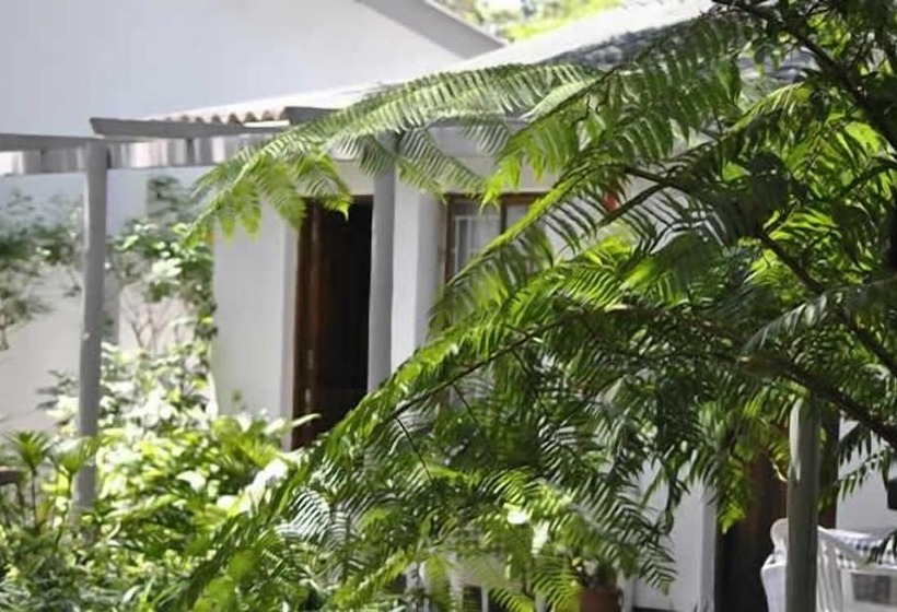 Bed & Breakfast Duck Inn