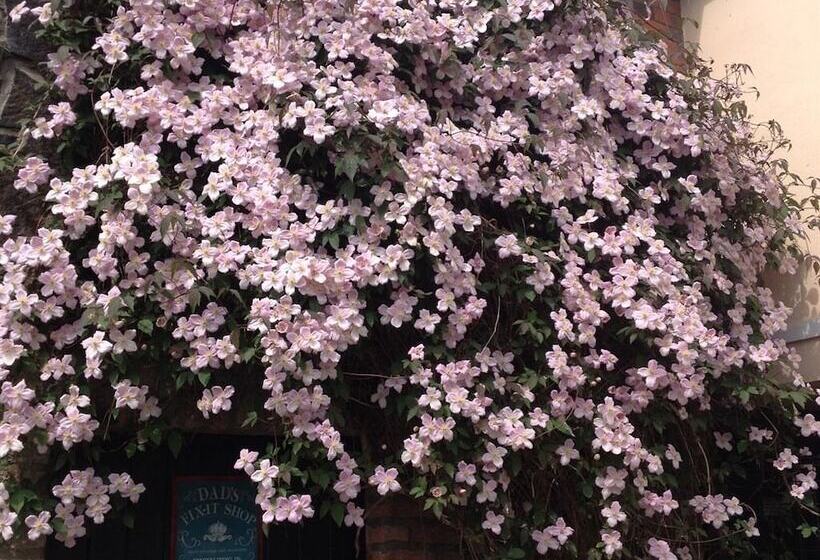 مبيت وإفطار Lisnafillan Lodge