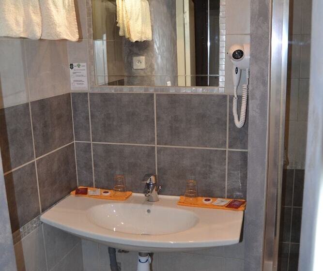 فندق Du Lion Vert