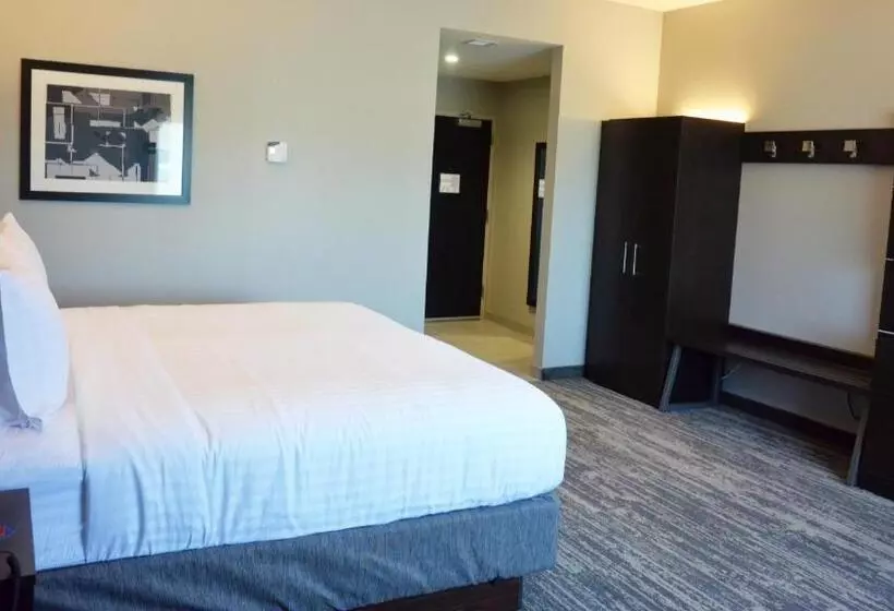 ホテル Holiday Inn Express & Suites   Jacksonville W   I295 And I10, An Ihg