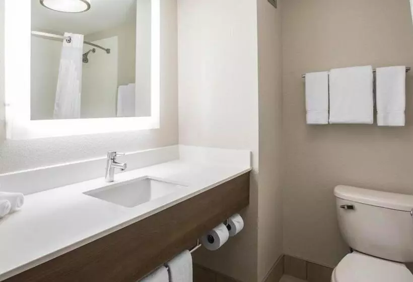 ホテル Holiday Inn Express & Suites   Jacksonville W   I295 And I10, An Ihg