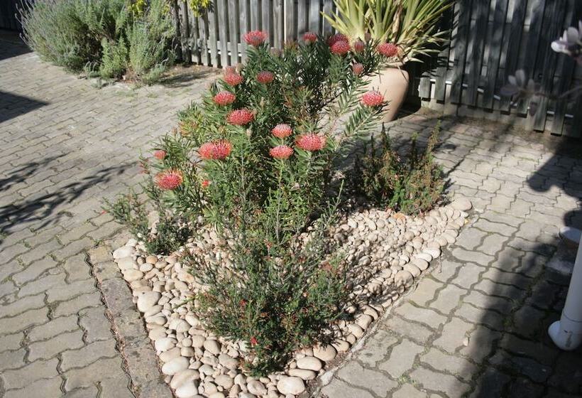 פנסיון 113 On Robberg