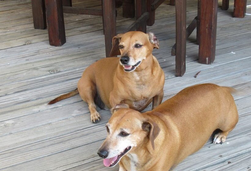 פנסיון 113 On Robberg