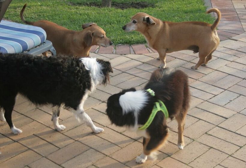 פנסיון 113 On Robberg