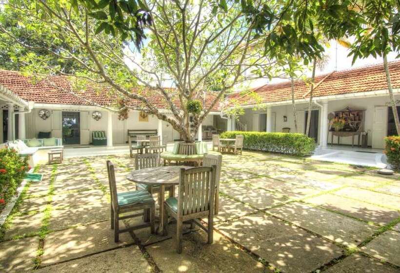 渡假胜地  The Dutch House