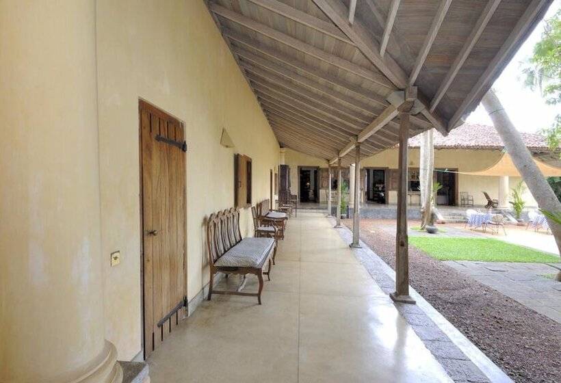 渡假胜地  The Dutch House