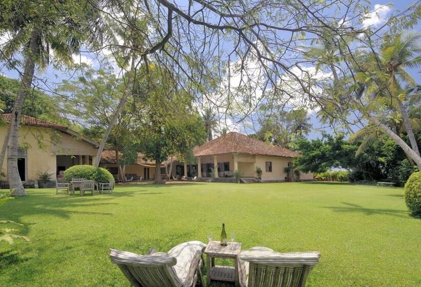 渡假胜地  The Dutch House