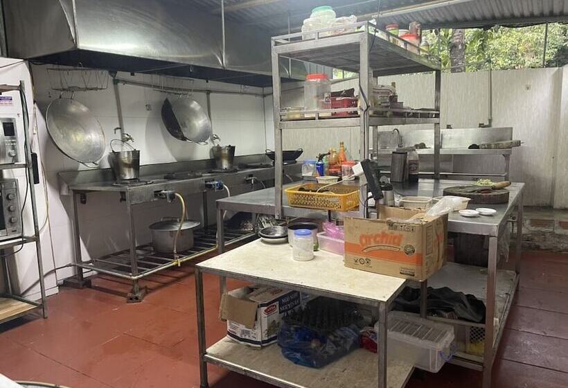 تختخواب و صبحانه Cat Ba Mountain View Homestay