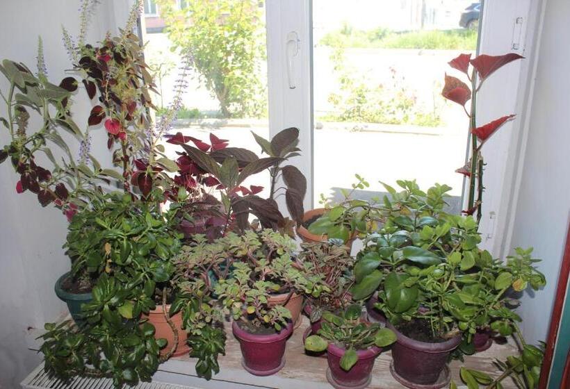 تختخواب و صبحانه Guesthouse Levani