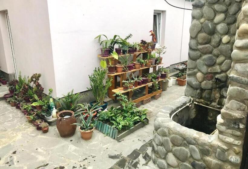 تختخواب و صبحانه Guesthouse Levani