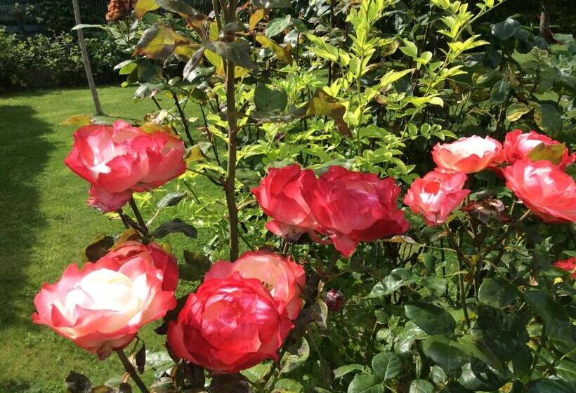 مبيت وإفطار Les Chambres D Oriane