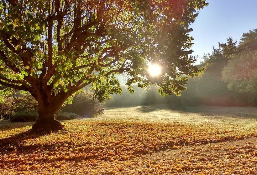 مبيت وإفطار Mas De Cocagne En Provence