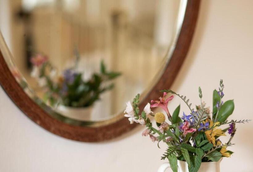 مبيت وإفطار Prince Albert Country Stay