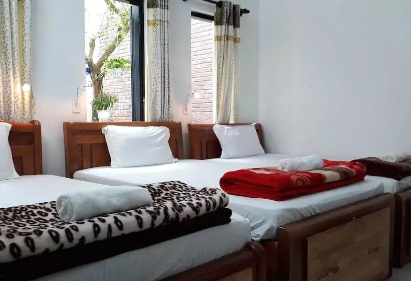 تختخواب و صبحانه Thao Hieu Homestay Hoi An