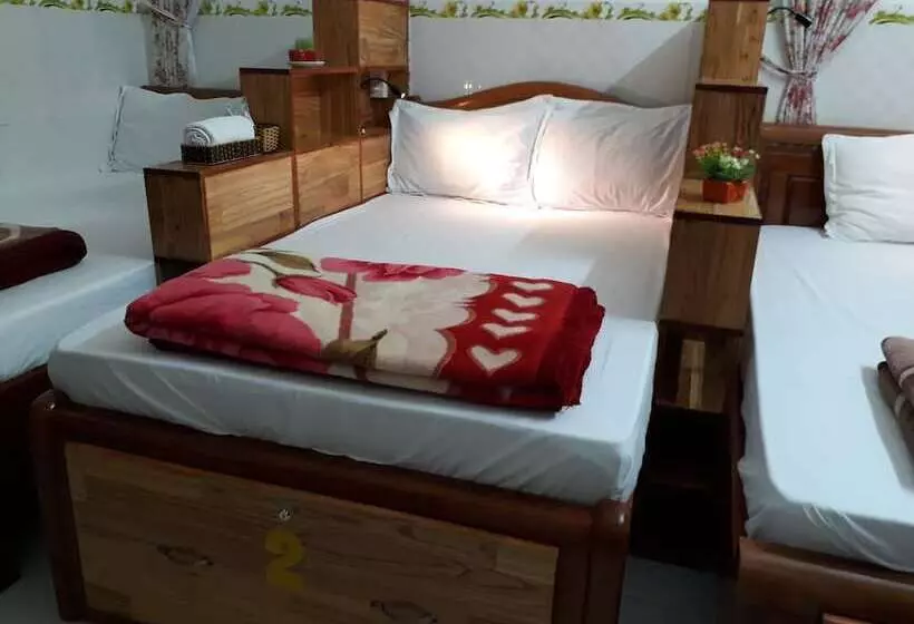تختخواب و صبحانه Thao Hieu Homestay Hoi An