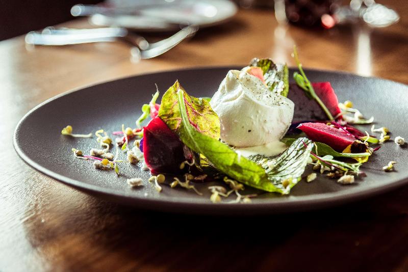 هتل Andaz Mayakoba Resort Riviera Maya, By Hyatt