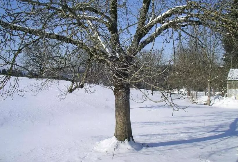 ホテル Das Allgäu