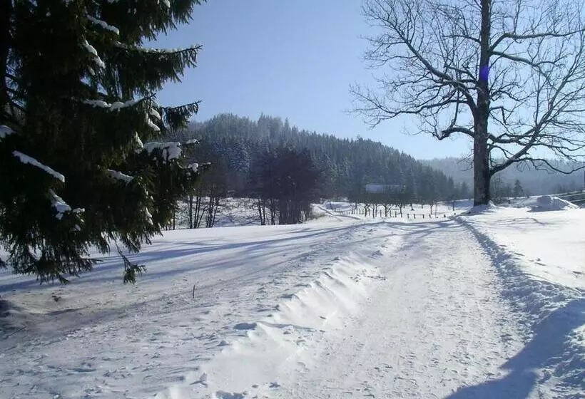 ホテル Das Allgäu