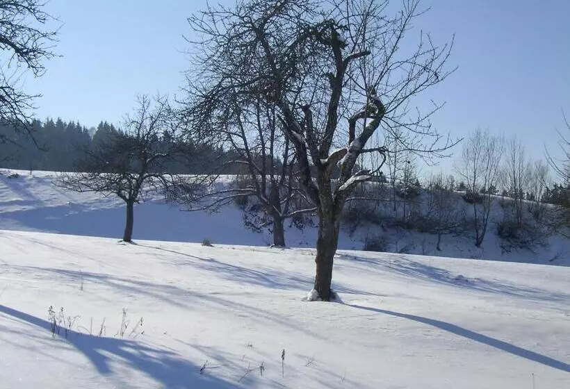 ホテル Das Allgäu