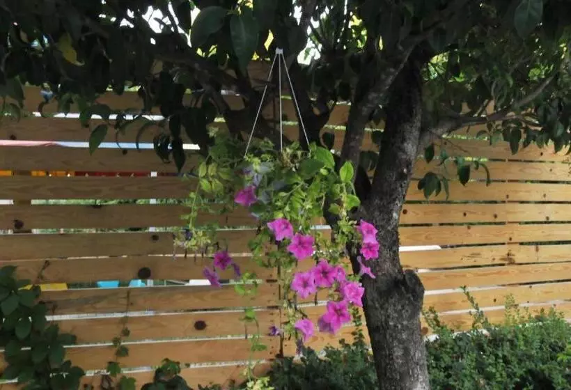 هتل Garden
