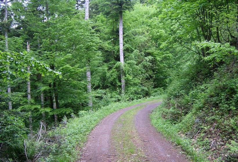 בית מלון כפרי Gasthof Pension Krone