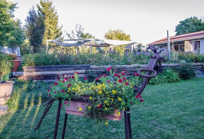 The Inn At Charlotte Bed And Breakfast