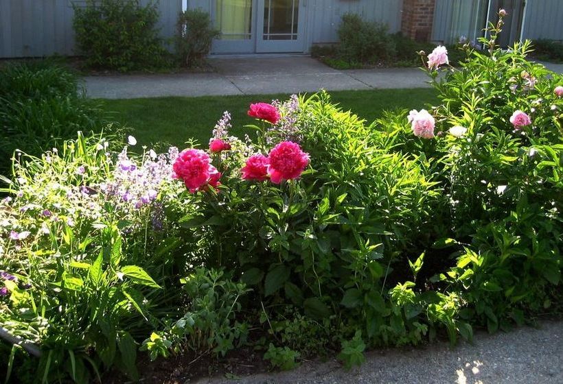 The Inn At Charlotte Bed And Breakfast